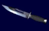 gun-knife.jpg (1476 octets)