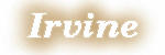 irvinetxt.JPG (1818 bytes)